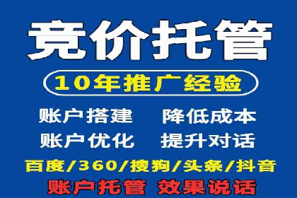百度SEM推广策略：成功案例解析