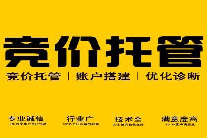 sem账户竞价运营策略在旅游行业的成功应用